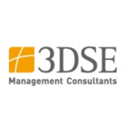 3DSE Management Consultants AT GmbH