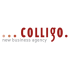 Colligo GmbH