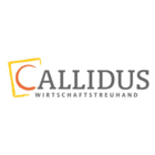 Callidus Wirtschaftstreuhand GmbH & Co KG