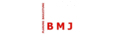 bmj - martin juffinger baugmbh Logo