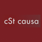 cSt causa Steuerberatungs GmbH