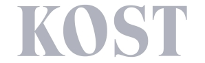 Kost Software GmbH