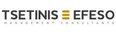 Ing. Tsetinis Beratungs GmbH Logo