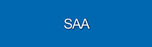 SAA Software Engineering GmbH
