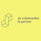 dr. scheinecker & partner wirtschaftsprüfungs gmbh & co kg