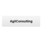 AgilConsulting