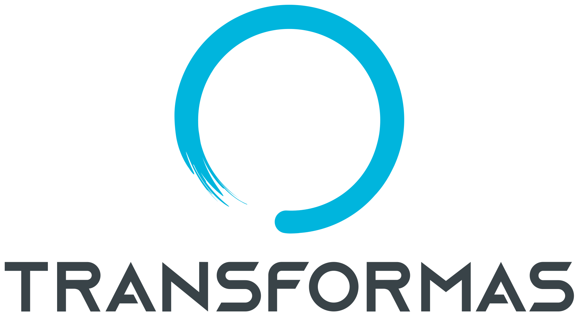 Logo von TRANSFORMAS Consulting Solutions GmbH