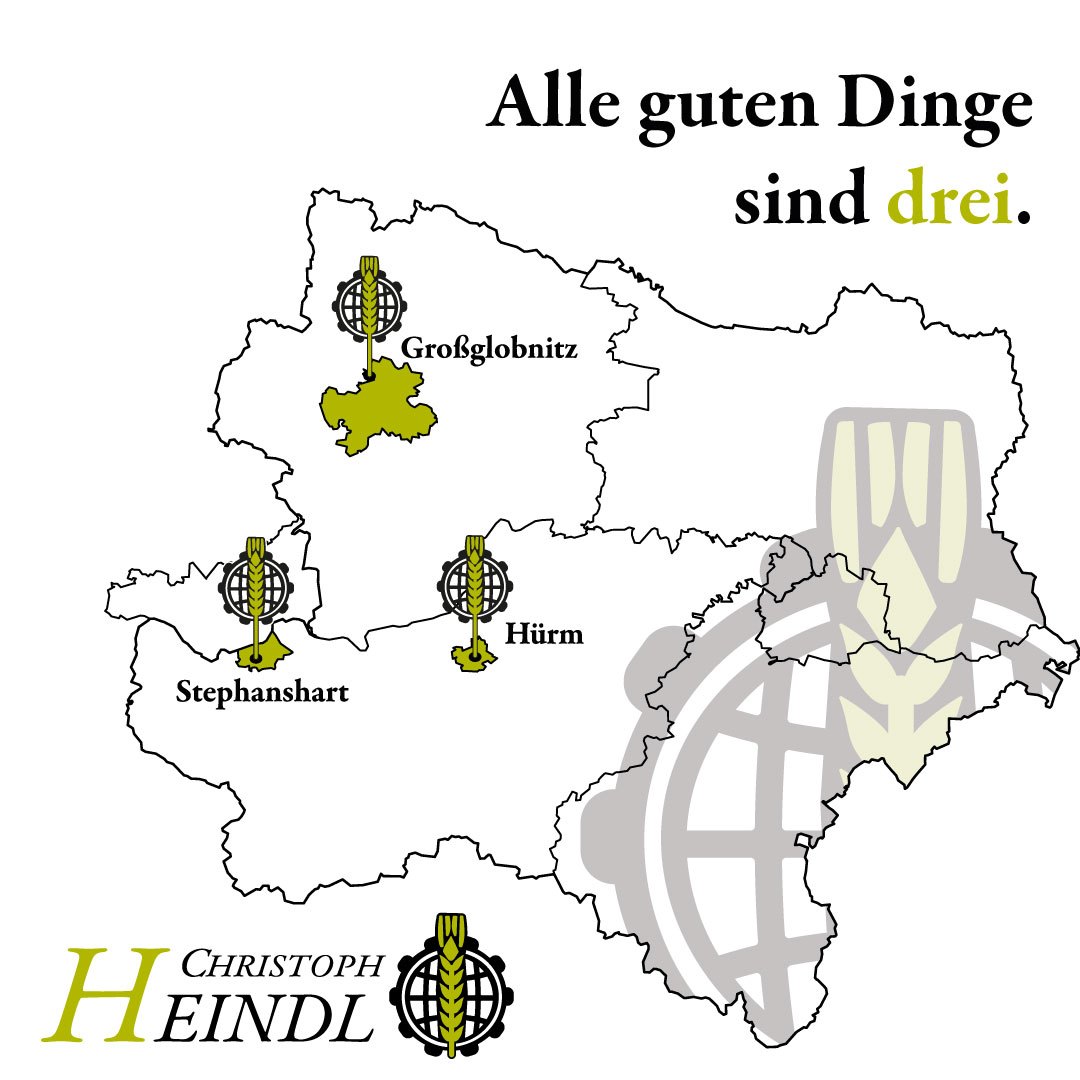 Galeriebild