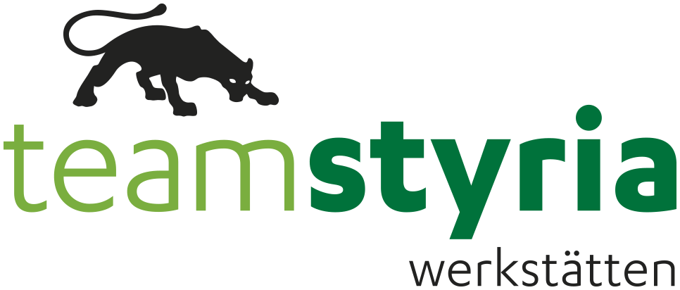 Logo von Team Styria Werkstätten GmbH