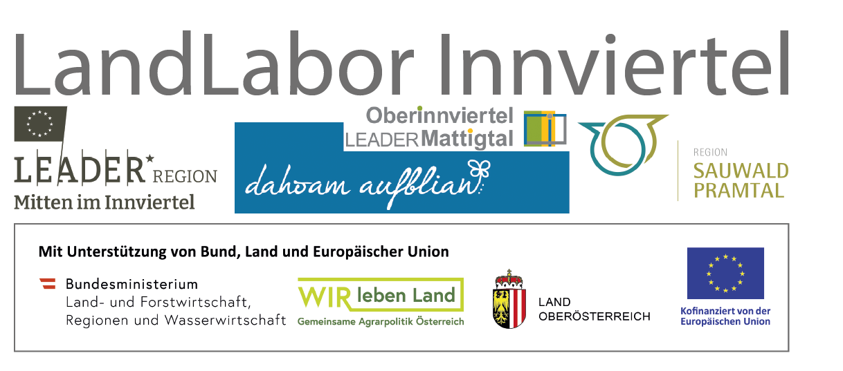 Logo von Verein Innovatives Innviertel