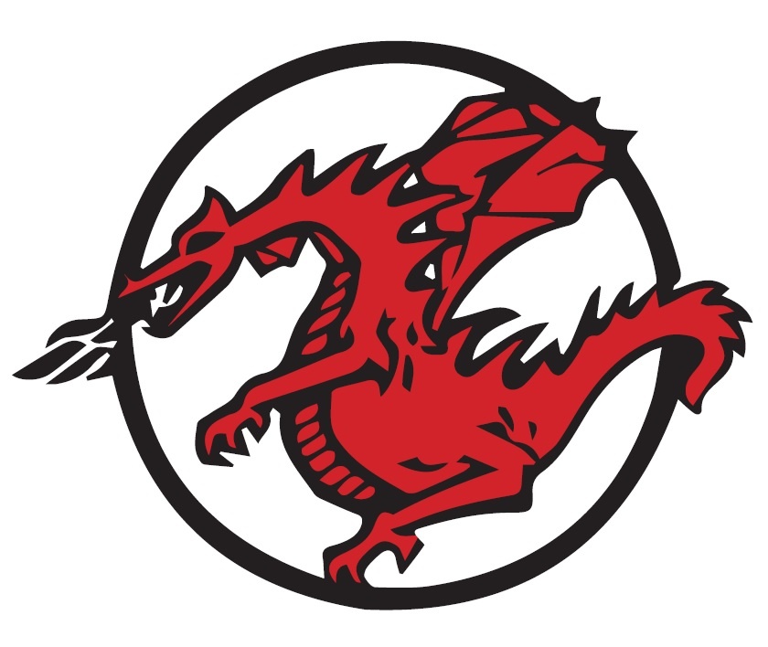 Logo von DRAGON EXPRESS LINE Speditions + Transportagentur Gesellschaft m.b.H.