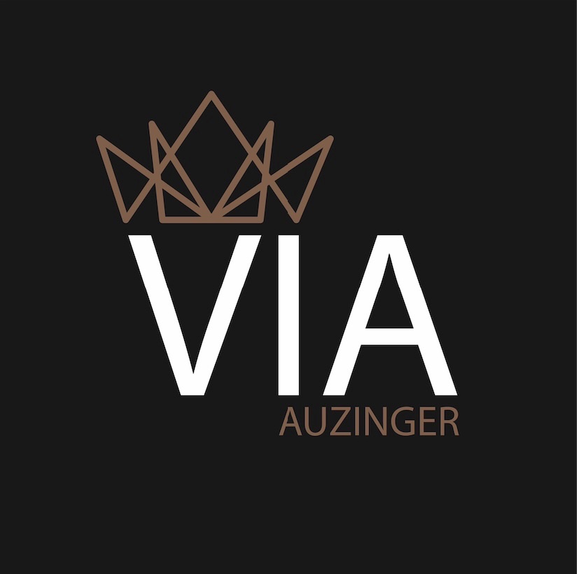 Logo von VIA Auzinger GmbH