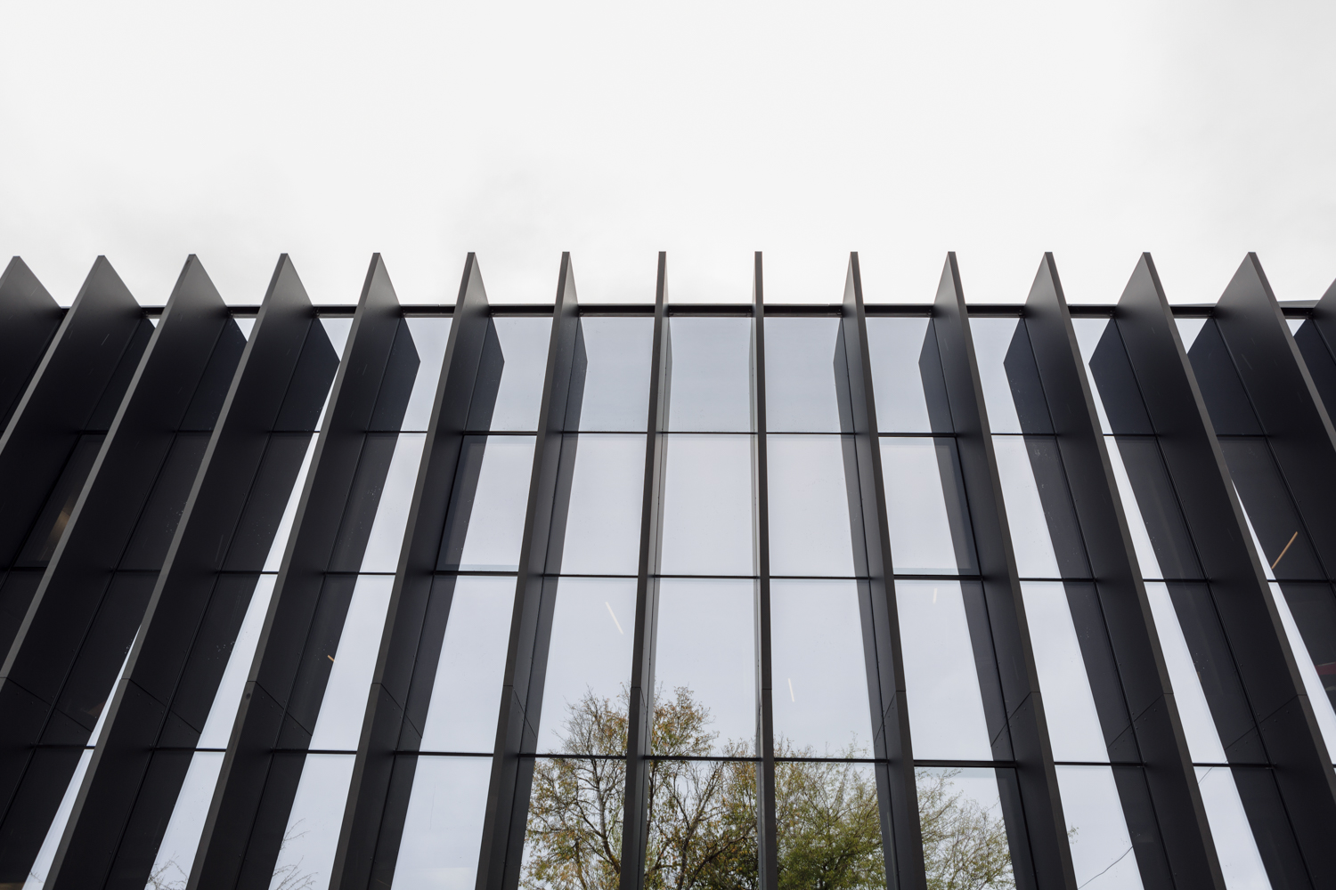Titelbild von Riegler Metallbau GmbH