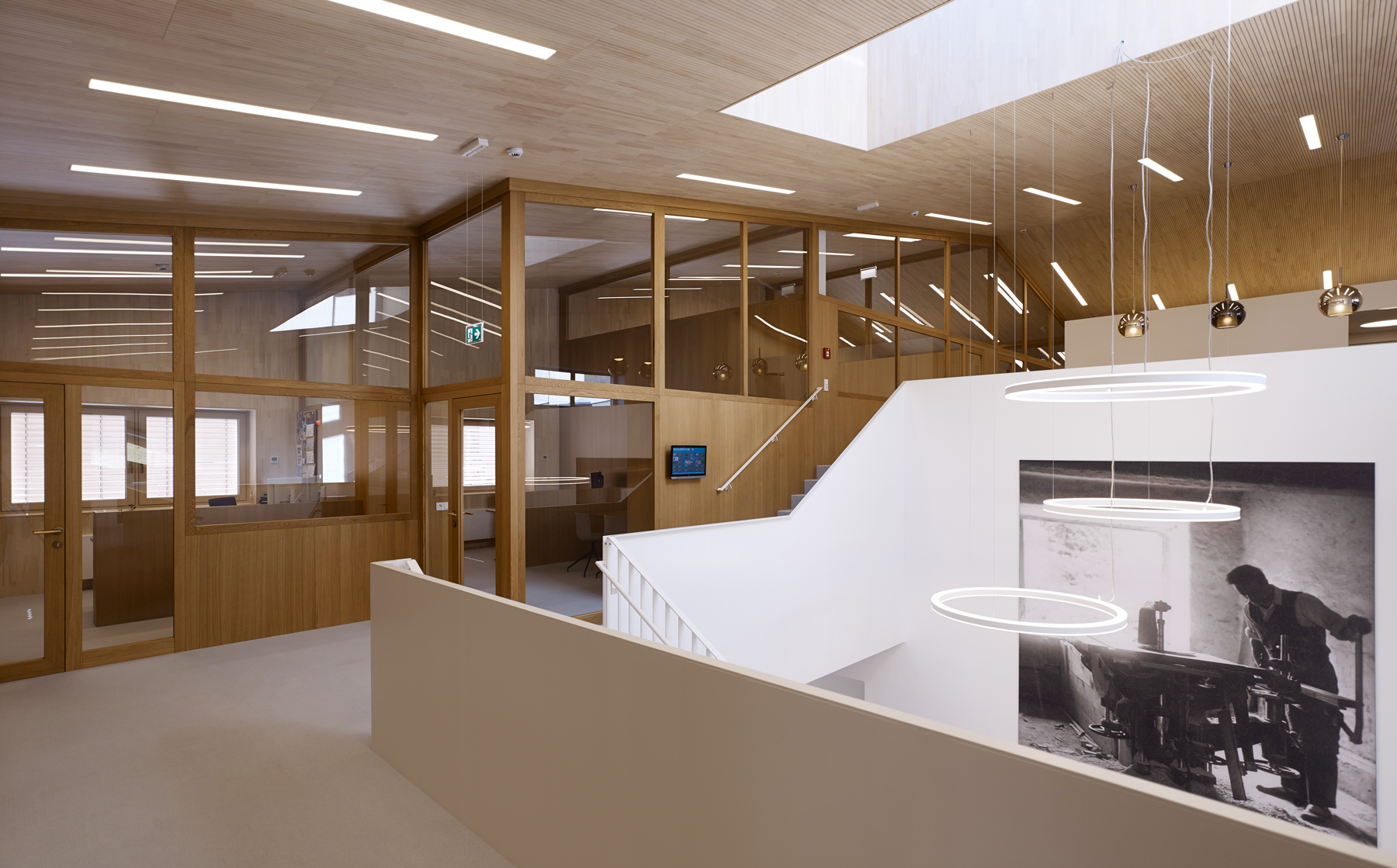 Galeriebild