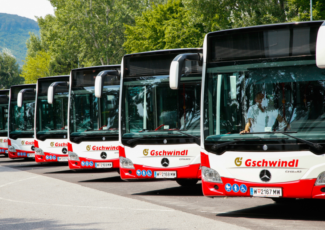 Galeriebild