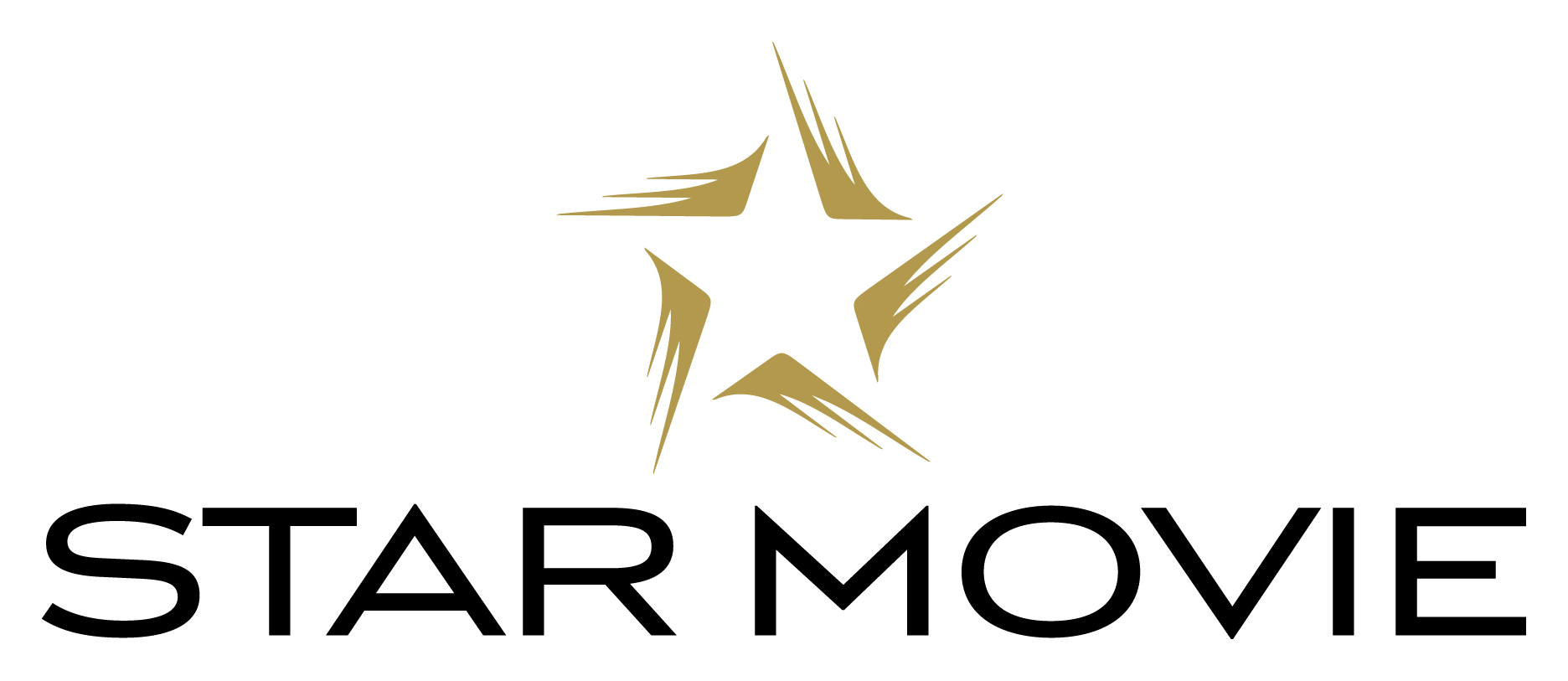 Logo von Star Movie Kinos