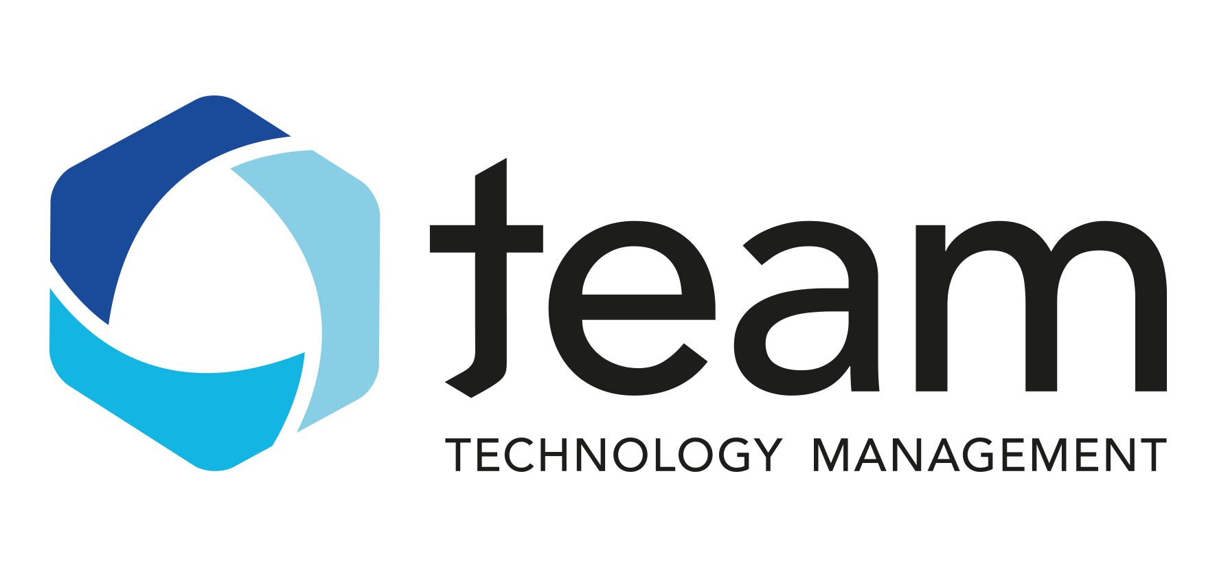 Logo von team Technology Management GmbH