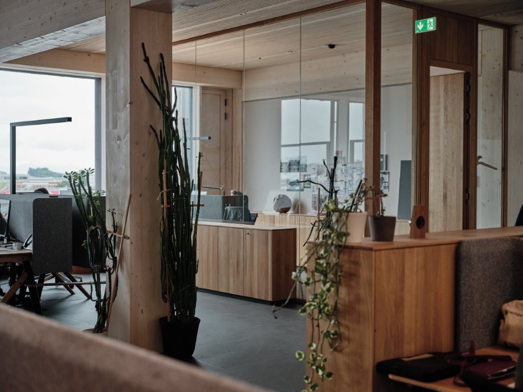 Galeriebild