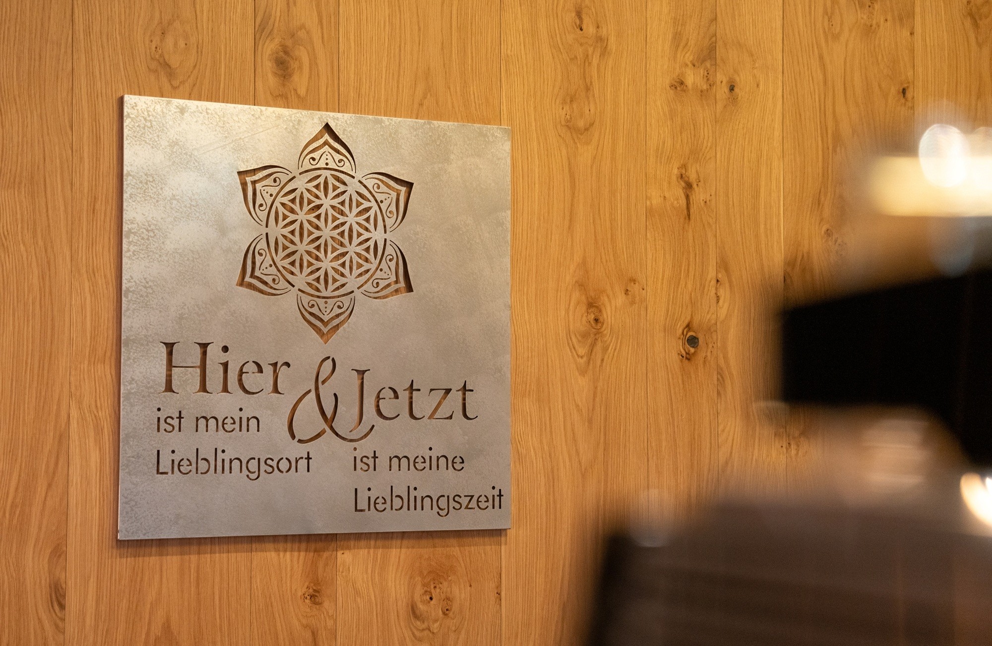 Galeriebild