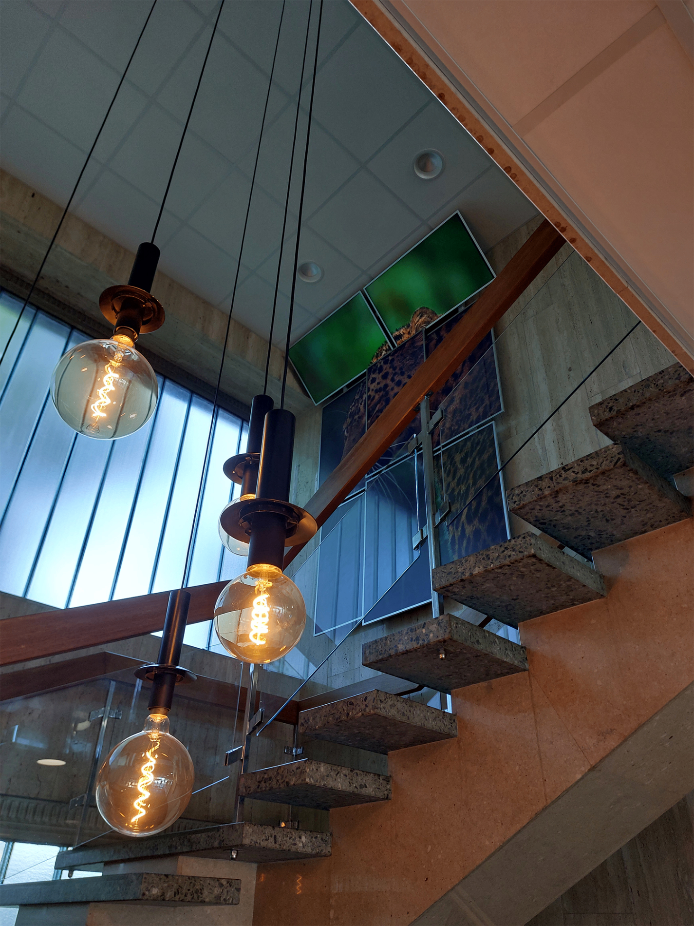 Galeriebild