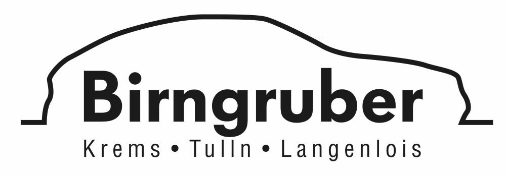 Logo von Birngruber GmbH & Co KG